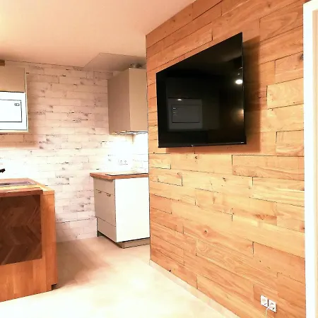 River Side Near Frankfurt-air Condition-private Parking Apartment Hainburg