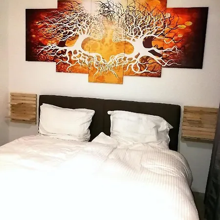 River Side Near Frankfurt-air Condition-private Parking Hainburg